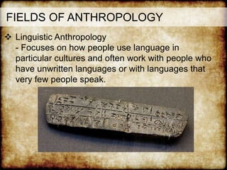 FIELDS OF ANTHROPOLOGY
 Linguistic Anthropology
- Focuses on how people use language in
particular cultures and often work with people who
have unwritten languages or with languages that
very few people speak.
 