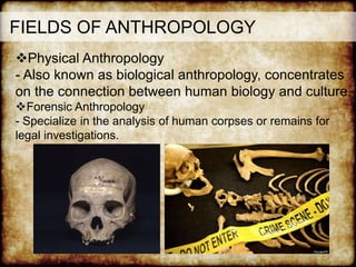 FIELDS OF ANTHROPOLOGY
Physical Anthropology
- Also known as biological anthropology, concentrates
on the connection between human biology and culture.
Forensic Anthropology
- Specialize in the analysis of human corpses or remains for
legal investigations.
 