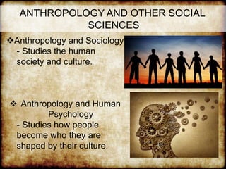 ANTHROPOLOGY AND OTHER SOCIAL
SCIENCES
Anthropology and Sociology
- Studies the human
society and culture.
 Anthropology and Human
Psychology
- Studies how people
become who they are
shaped by their culture.
 