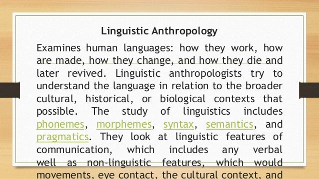 antetype examples antetype examples