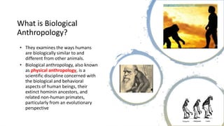 What is Biological
Anthropology?
• They examines the ways humans
are biologically similar to and
different from other animals.
• Biological anthropology, also known
as physical anthropology, is a
scientific discipline concerned with
the biological and behavioral
aspects of human beings, their
extinct hominin ancestors, and
related non-human primates,
particularly from an evolutionary
perspective
 