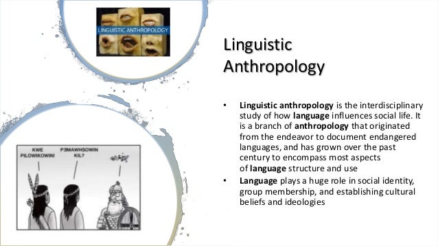 linguistic anthropology definition linguistic anthropology definition