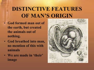 Biblical Anthropology: What is Man Like? | PPT