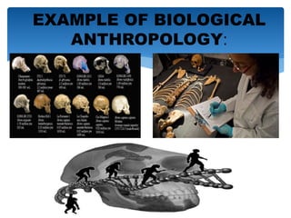 anthropology- Disciplines and Ideas in the Social Sciences.pptx