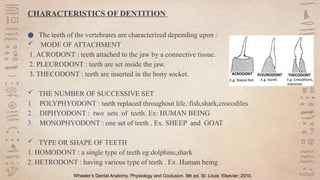 Anthropology in orthodontics and dentofacial orthopedics | PPTX