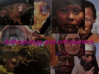 Anthropology and orthodontics

www.indiandentalacademy.com

 