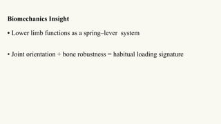 ANTHROPOLOGY OF LOWER LIMB BONES 123.pptx
