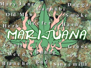 Reefer Bhang Grass Ganja Old Man Herb Sinsemilla Dagga Hash Smoke Blanche Weed Pot Mary Jane Bud Cannabis 