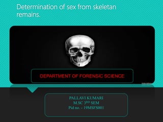 Determination of sex from skeletan
remains.
PALLAVI KUMARI
M.SC 3RD SEM
Pid no. - 19MSFS001
DEPARTMENT OF FORENSIC SCIENCE
 