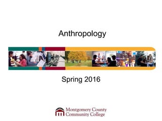 Anthropology
Spring 2016
 