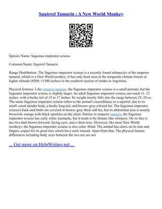 Squirrel Tamarin : A New World Monkey
Species Name: Saguinus imperator sciurus
Common Name: Squirrel Tamarin
Range Distribution: The Saguinus imperator sciurus is a recently found subspecies of the emperor
tamarin, which is a New World monkey. It has only been seen in the temperate climate forests at
higher altitude (8200–11500 inches) in the southern section of Andes in Argentina.
Physical features: Like emperor tamarin, the Saguinus imperator sciurus is a small primate, but the
Saguinus imperator sciurus is slightly larger. An adult Saguinus imperator sciurus can reach 11–12
inches, with a bushy tail of 15 to 17 inches. Its weight mostly falls into the range between 22–28 oz.
The name Saguinus imperator sciurus refers to the animal's resemblance to a squirrel, due to its
small–sized slender body, a bushy long tail, and brown–grey colored fur. The Saguinus imperator
sciurus's back and limbs are covered in brown–grey thick soft fur, but its abdominal area is usually
brownish–orange with black speckles on the chest. Similar to emperor tamarin, the Saguinus
imperator sciurus has curly white mustache, but it tends to be thinner like whiskers. On its face it
has two dark brown forward–facing eyes, and a short nose. However, like most New World
monkeys, the Saguinus imperator sciurus is also color–blind. The animal has claws on its toes and
fingers, expect for its great toes which have nails instead. Apart from that, The physical feature
differences including body sizes between the two sex are not
... Get more on HelpWriting.net ...
 