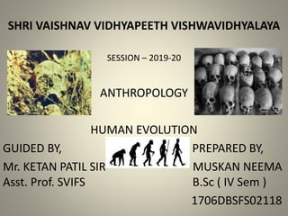SHRI VAISHNAV VIDHYAPEETH VISHWAVIDHYALAYA
SESSION – 2019-20
ANTHROPOLOGY
HUMAN EVOLUTION
GUIDED BY, PREPARED BY,
Mr. KETAN PATIL SIR MUSKAN NEEMA
Asst. Prof. SVIFS B.Sc ( IV Sem )
1706DBSFS02118
 