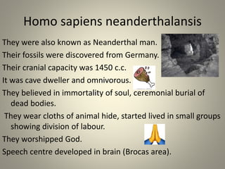 Homo sapiens neanderthalansis
They were also known as Neanderthal man.
Their fossils were discovered from Germany.
Their cranial capacity was 1450 c.c.
It was cave dweller and omnivorous.
They believed in immortality of soul, ceremonial burial of
dead bodies.
They wear cloths of animal hide, started lived in small groups
showing division of labour.
They worshipped God.
Speech centre developed in brain (Brocas area).
 