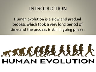 INTRODUCTION
Human evolution is a slow and gradual
process which took a very long period of
time and the process is still in going phase.
 