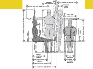 Anthropometric data and Ergonomics design | PDF