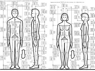 Anthropometric data and Ergonomics design | PDF