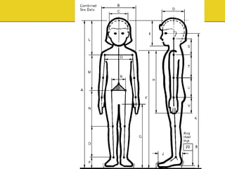 Anthropometric data and Ergonomics design | PDF