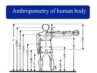 ANTHROPOMETRIC DATA & DESIGN OF WORKPLACE(2).ppt