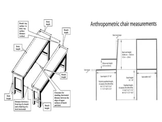 Anthropometric measurement.pptx