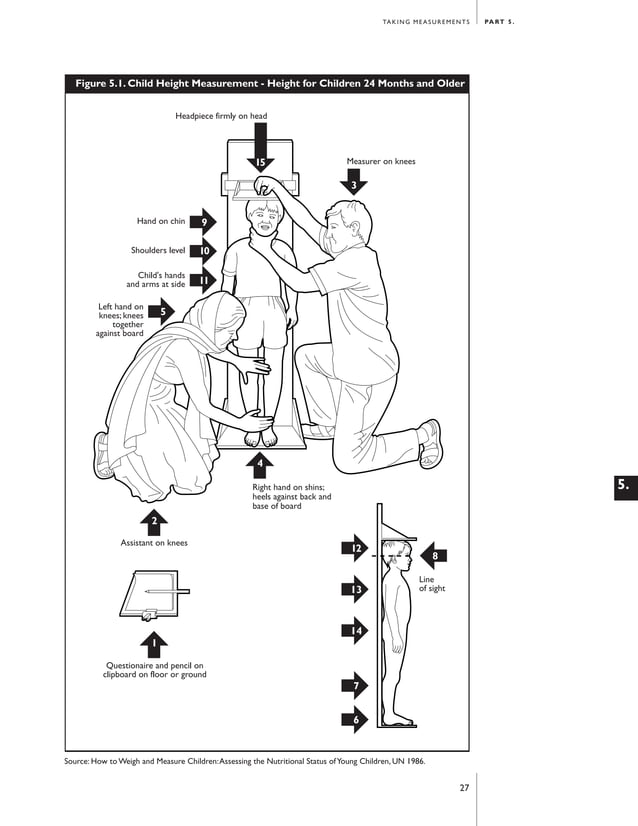 Anthropometric measuring guide | PDF