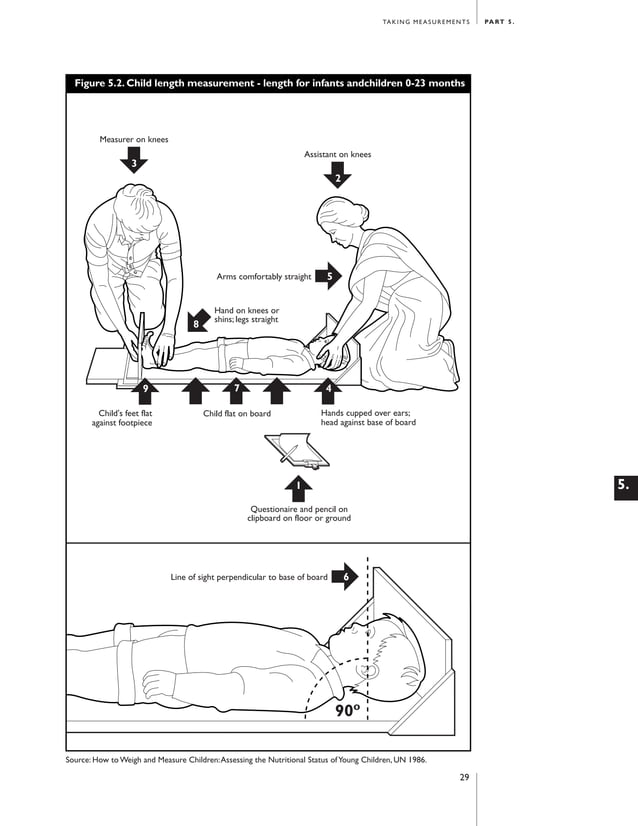 Anthropometric measuring guide | PDF