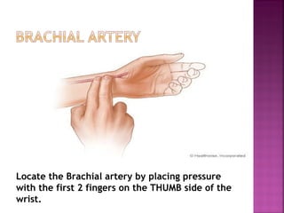Locate the Brachial artery by placing pressure with the first 2 fingers on the THUMB side of the wrist. 