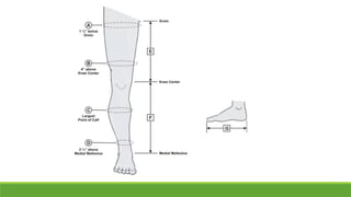 Anthropometry.pptx muscle test measurement