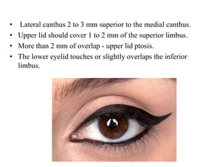 Anthropometry and cephalometric facial analysis | PPTX