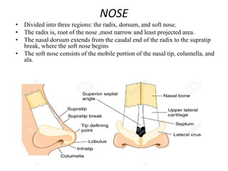 Anthropometry and cephalometric facial analysis | PPTX