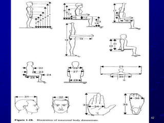 Anthropometry pps | PPSX