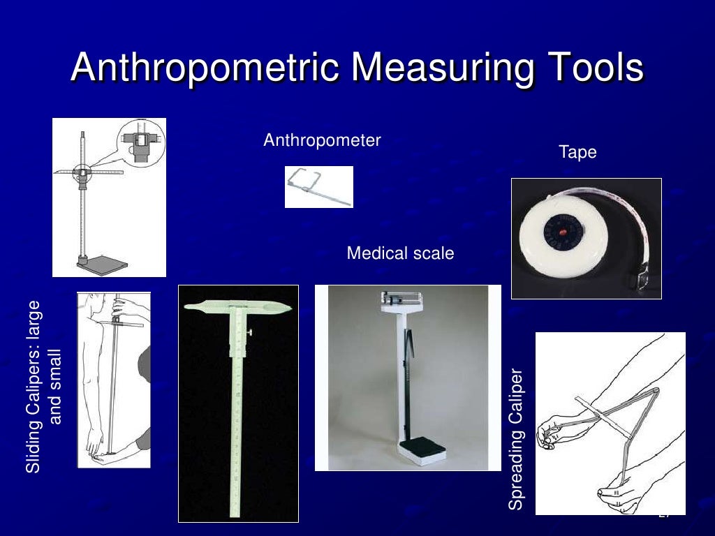 Anthropometry pps
