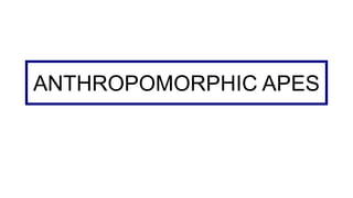 ANTHROPOMORPHIC APES
 
