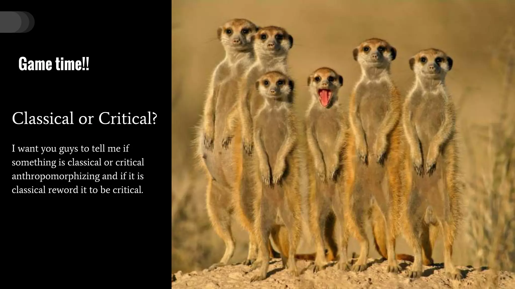 Anthropomorphizing: Seeing the World Through Human Tinted Glasses | PPT