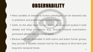 OBSERVABILITY
• Most variables of interest to human osteologists can be observed only
in prehistoric and protohistoric skeletal remains.
• Teeth, on the other hand, can be directly observed and studied in both
skeletal and living populations (e.g., through intraoral examinations,
permanent plaster casts, extracted teeth).
• Because teeth are observable in both extinct and extant human groups,
they provide a valuable research tool for the analysis of short-term and
long-term temporal trends. 40
 