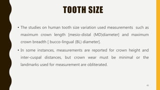 TOOTH SIZE
• The studies on human tooth size variation used measurements such as
maximum crown length [mesio-distal (MD)diameter] and maximum
crown breadth [ bucco-lingual (BL) diameter].
• In some instances, measurements are reported for crown height and
inter-cuspal distances, but crown wear must be minimal or the
landmarks used for measurement are obliterated.
45
 