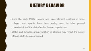 DIETARY BEHAVIOR
• Since the early 1980s, isotope and trace element analyses of bone
collagen and apatite have been widely used to infer general
characteristics of the diet of earlier human populations.
• Within and between-group variation in attrition may reflect the nature
of food-stuffs being consumed.
60
 