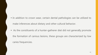 • In addition to crown wear, certain dental pathologies can be utilized to
make inferences about dietary and other cultural behavior.
• As the constituents of a hunter-gatherer diet did not generally promote
the formation of carious lesions, these groups are characterized by low
caries frequencies.
62
 