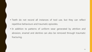 • Teeth do not record all instances of tool use, but they can reflect
repetitive behaviours and traumatic episodes.
• In addition to patterns of uniform wear generated by attrition and
abrasion, enamel and dentine can also be removed through traumatic
fracturing.
66
 