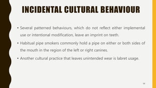 INCIDENTAL CULTURAL BEHAVIOUR
• Several patterned behaviours, which do not reflect either implemental
use or intentional modification, leave an imprint on teeth.
• Habitual pipe smokers commonly hold a pipe on either or both sides of
the mouth in the region of the left or right canines.
• Another cultural practice that leaves unintended wear is labret usage.
68
 