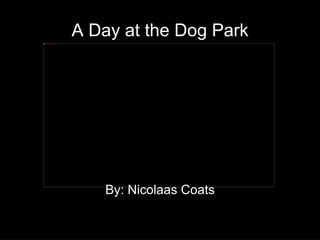 A Day at the Dog Park By: Nicolaas Coats 
