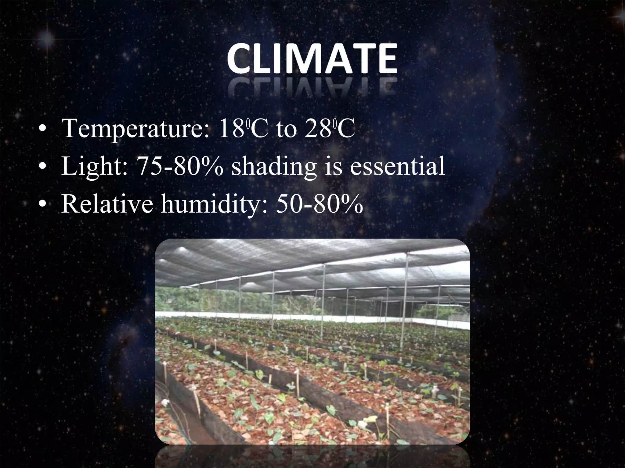 • Temperature: 180
C to 280
C
• Light: 75-80% shading is essential
• Relative humidity: 50-80%
 