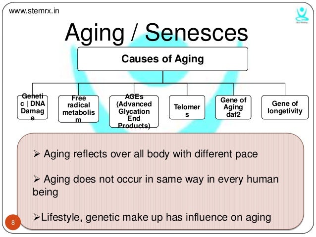 anti aging gene aging with Anti holistic approach