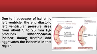 Due to inadequacy of ischemic
left ventricle, the end diastolic
left ventricular pressure rises
from about 5 to 25 mm Hg-
produces subendocardial
‘crunch’ during diastole and
aggravates the ischemia in this
region.
 