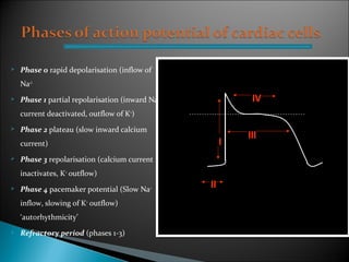 Pacemaker Depolarisation Anti arrhythmic drugs | PPT