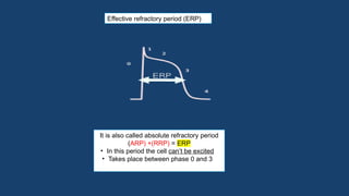 Anti-arrhythmic drugs very gud ppt from my college | PPTX