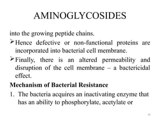 58
AMINOGLYCOSIDES
into the growing peptide chains.
Hence defective or non-functional proteins are
incorporated into bacterial cell membrane.
Finally, there is an altered permeability and
disruption of the cell membrane – a bactericidal
effect.
Mechanism of Bacterial Resistance
1. The bacteria acquires an inactivating enzyme that
has an ability to phosphorylate, acetylate or
 