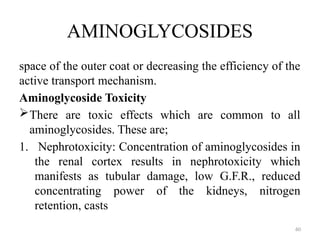 60
AMINOGLYCOSIDES
space of the outer coat or decreasing the efficiency of the
active transport mechanism.
Aminoglycoside Toxicity
There are toxic effects which are common to all
aminoglycosides. These are;
1. Nephrotoxicity: Concentration of aminoglycosides in
the renal cortex results in nephrotoxicity which
manifests as tubular damage, low G.F.R., reduced
concentrating power of the kidneys, nitrogen
retention, casts
 