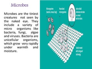 Microbes
Microbes are the tiniest
creatures not seen by
the naked eye. They
include a variety of
micro organisms like
bacteria, fungi, algae
and viruses. Bacteria are
unicellular organisms,
which grow very rapidly
under warmth and
moisture.
 