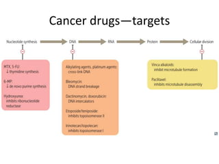 Cancer drugs—targets
 