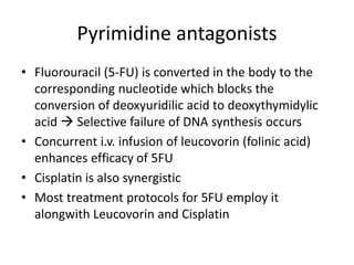 Pyrimidine antagonists
• Fluorouracil (5-FU) is converted in the body to the
corresponding nucleotide which blocks the
conversion of deoxyuridilic acid to deoxythymidylic
acid  Selective failure of DNA synthesis occurs
• Concurrent i.v. infusion of leucovorin (folinic acid)
enhances efficacy of 5FU
• Cisplatin is also synergistic
• Most treatment protocols for 5FU employ it
alongwith Leucovorin and Cisplatin
 